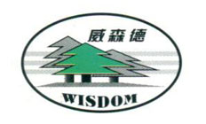 黑蚂蝗高级道路灌缝胶应用使道路焕然一新